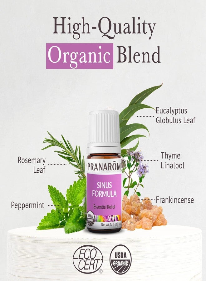 Pranarom - Sinus Formula Essential Oil Blend (5ml) - Olive Oil, Eucalypts, Peppermint, Rosemary, Frankincense, & Thyme - 100% Pure Essential Oil for Topical Use | USDA and ECOCERT Certified Organic - Image 3